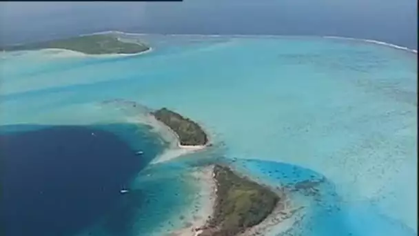 Polynésie française : Bleus de Bora