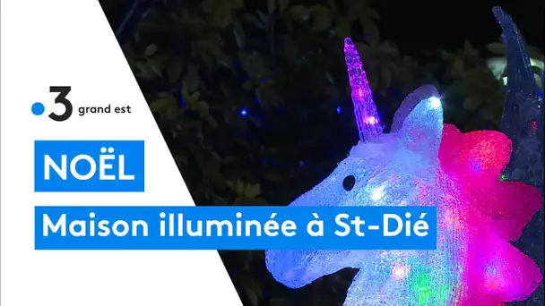 Noël : la maison illuminée de Maryse et Philippe à Saint-Dié