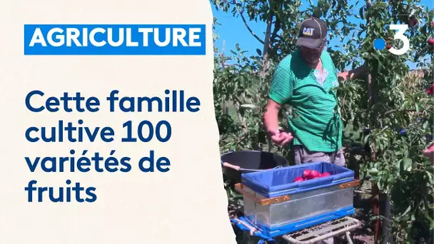 Une famille de Blaesheim produit une centaine de variétés de fruits.