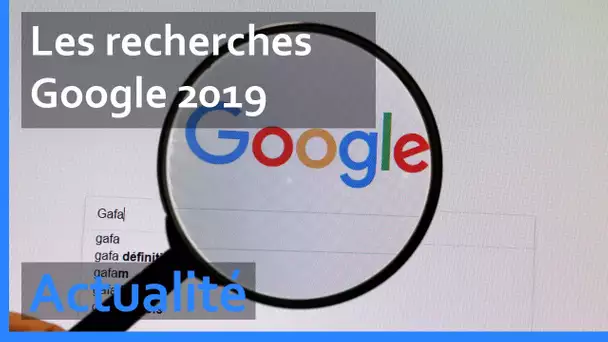 Notre-Dame, pétauriste ou rougail saucisses... les tendances de recherche Google 2019