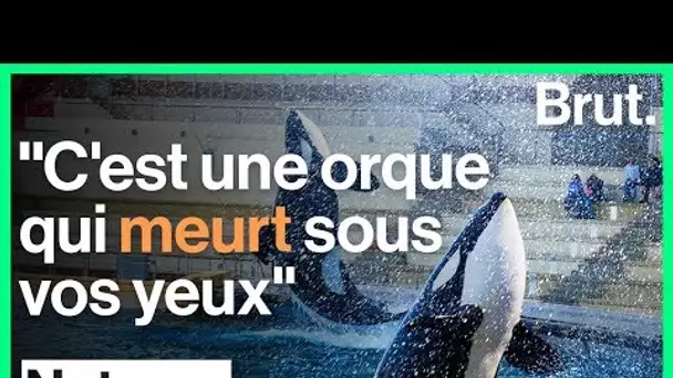 Marineland : un ancien soigneur dénonce l&#039;enfer des orques