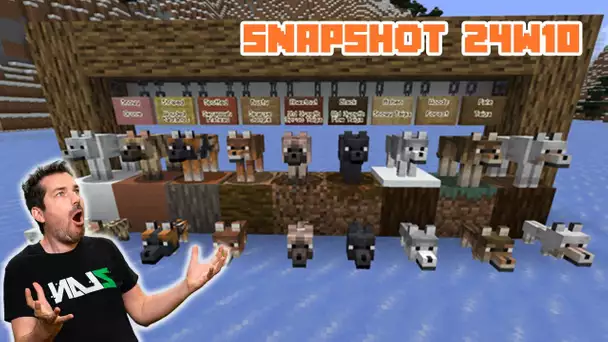 Le lobby des chiens à gagné - MINECRAFT 1.21 -  Snapshot 24w10