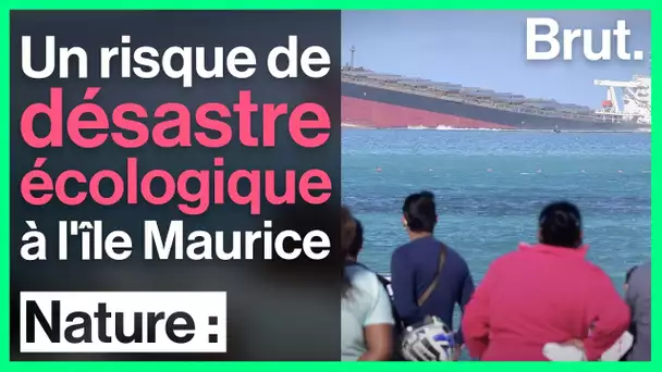 Nauvrage du MV Wakashio : l'île Maurice redoute la catastrophe écologique