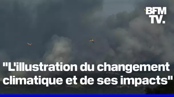 Incendie dans l'Aude: 1.400 hectares brûlés, l'A9 et l'A61 coupées, certains quartiers sont confinés