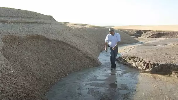 Delta du Colorado, au coeur d'une catastrophe écologique