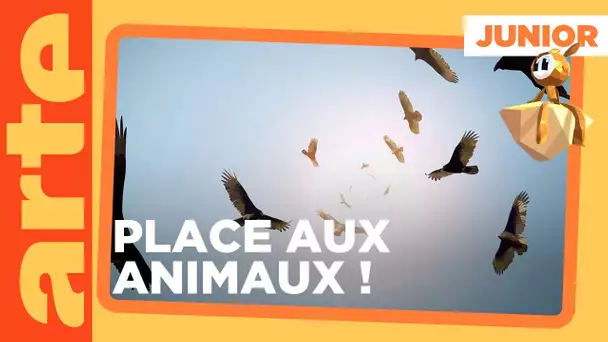 ARTE Junior, le mag - ARTE