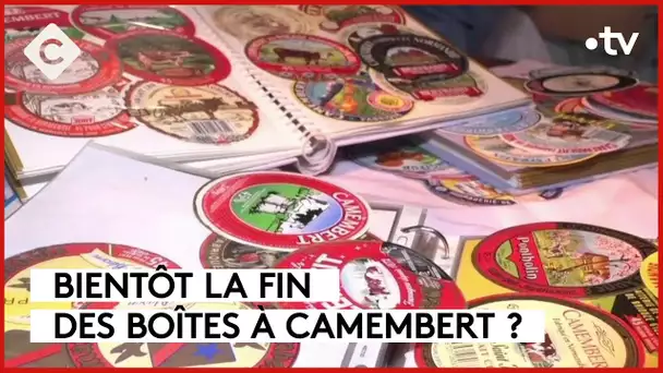 Les boîtes de camembert au cœur d’une polémique - La Story - C à Vous - 14/11/2023