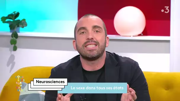 Le sexe dans tous ses états avec Romain Vandendorpe expert en neurosciences.