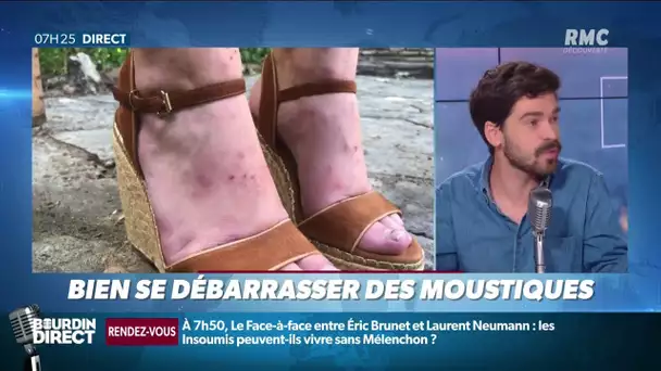 Comment bien se débarrasser des moustiques ?