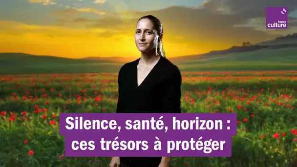 Silence, santé, horizon : ce qui ne s'achète pas, selon la philosophe Cynthia Fleury