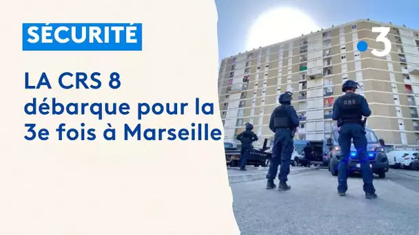 Sécurité à Marseille : la CRS 8 débarque pour la 3ᵉ fois dans les quartiers Nord