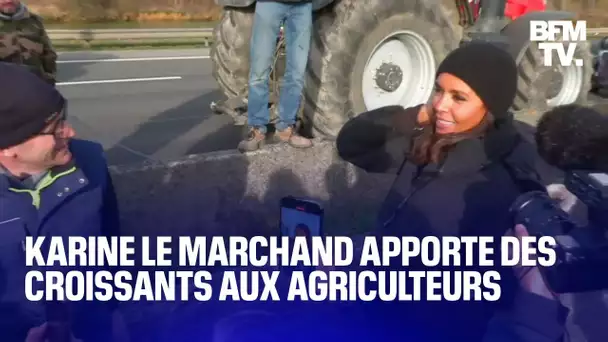 Karine Le Marchand apporte des croissants aux agriculteurs sur l'A4