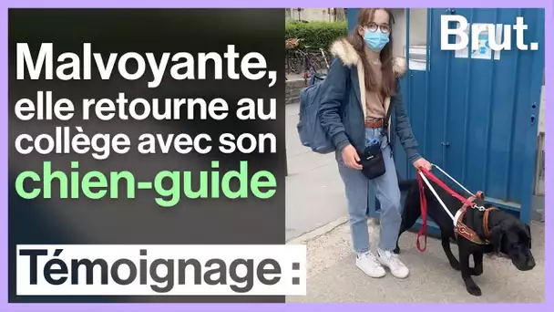 Malvoyante, Bérénice retourne au collège avec son chien-guide, Opium