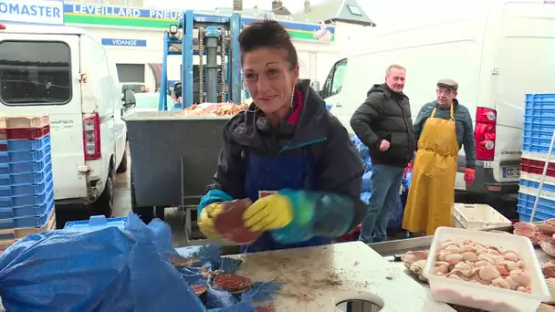 50ème édition de la foire aux harengs à Dieppe