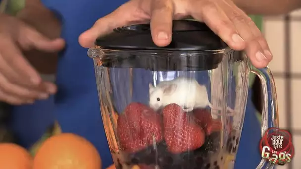 La souris dans le blender à jus