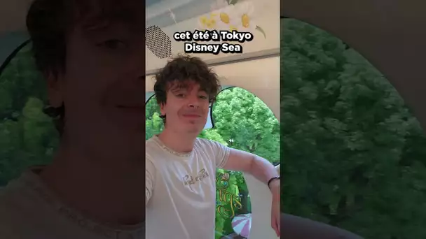 La particularité de Tokyo DisneySea 🤔