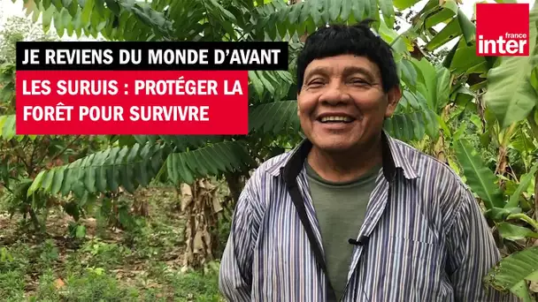 Les Suruí : protéger la forêt pour survivre - Je reviens du monde d'avant