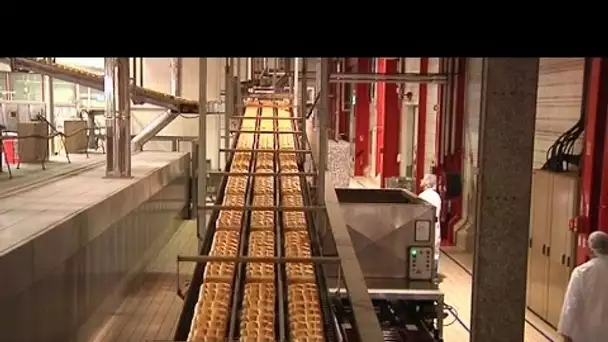 Dans les coulisses de la plus grande boulangerie industrielle de France