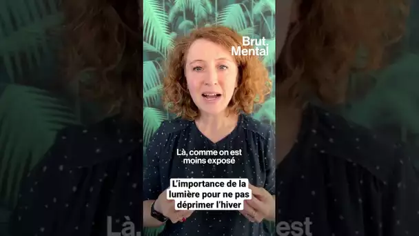 L’importance de la lumière pour ne pas déprimer l’hiver