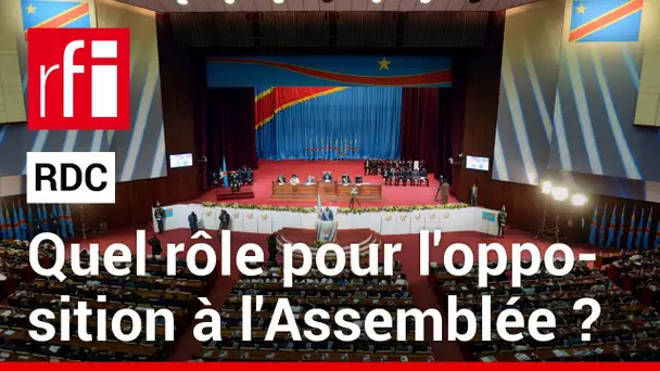 RDC : quelle représentativité & quel rôle pour l’opposition à l’Assemblée nationale ? • RFI