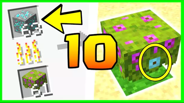 10 *NOUVEAUX* SECRETS SUR L'AZALEE MINECRAFT 1.17 !