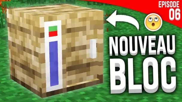 J&#039;AI TROUVÉ UN BUG DE DUPLI AVEC CE NOUVEAU BLOC... - Episode 06 | Paladium S6