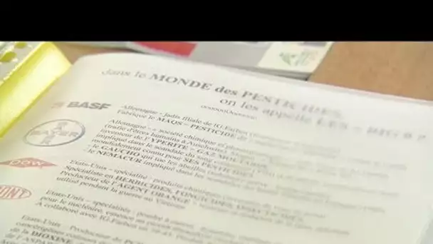 Pesticides : Didier Martin (député REM Côte d&#039;Or) invité du 19/20