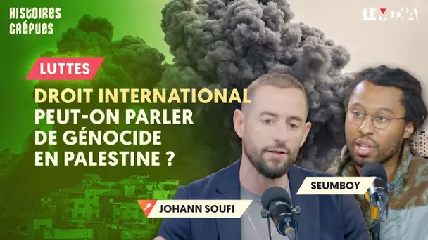 DROIT INTERNATIONAL : PEUT-ON PARLER DE GÉNOCIDE EN PALESTINE ?