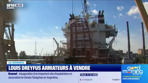 Louis Dreyfus Armateurs en vente?