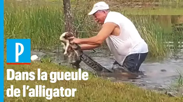 Un retraité sauve son chiot des mâchoires d'un alligator en Floride