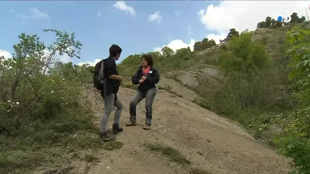 Page Nature en Auvergne : le Puy-de-Marmant