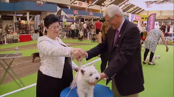 Leur chien est le plus beau de France