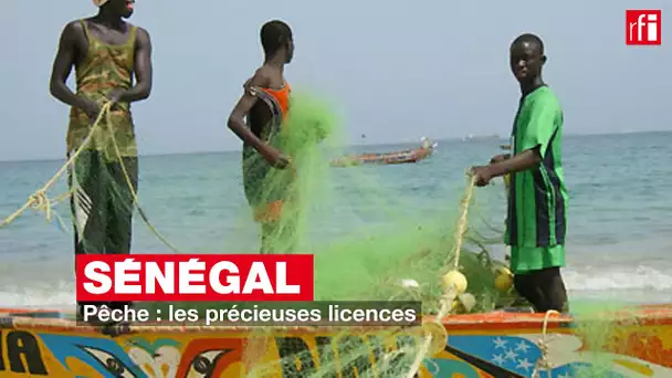 Sénégal - Pêche : les précieuses licences