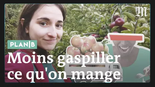 Comment moins gaspiller ce qu'on mange #PlanB