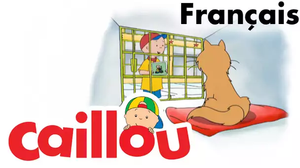 Caillou FRANÇAIS - Où est Gilbert? (S04E01) | conte pour enfant | Caillou en Français