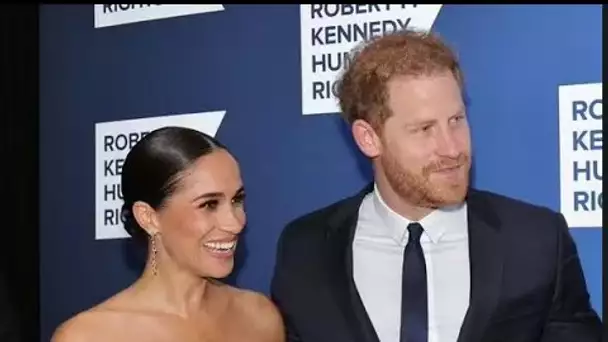 Le nouveau projet du prince Harry et de Meghan révélé alors que les patrons qualifient leurs idées