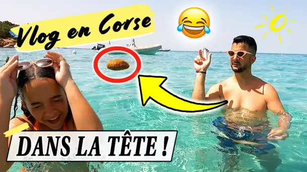 IL LUI JETTE DESSUS ! 😱 / Vlog en Corse 2022