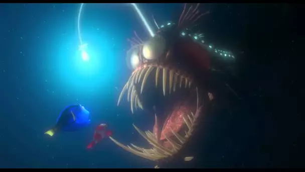 Le Monde de Nemo 3D - Bande-annonce VF - Le 16 janvier au cinéma I Disney