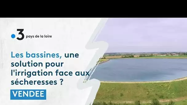 Les bassines en Sud -Vendée, une solution adaptée en période de sécheresse?