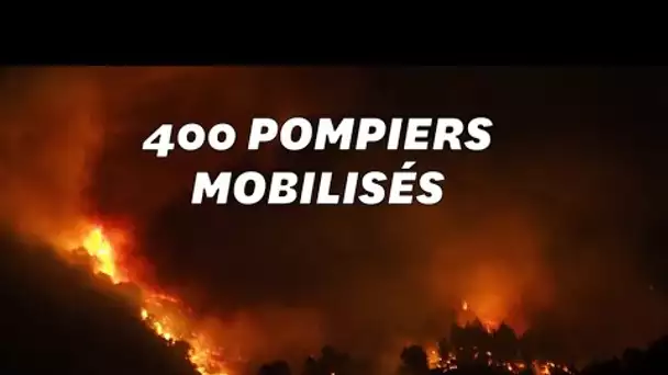 Un feu près de Carcassonne a ravagé environ 900 hectares de pinède