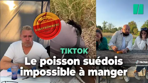 Le surströmming, cette spécialité suédoise qui teste les limites gustatives des tiktokeurs