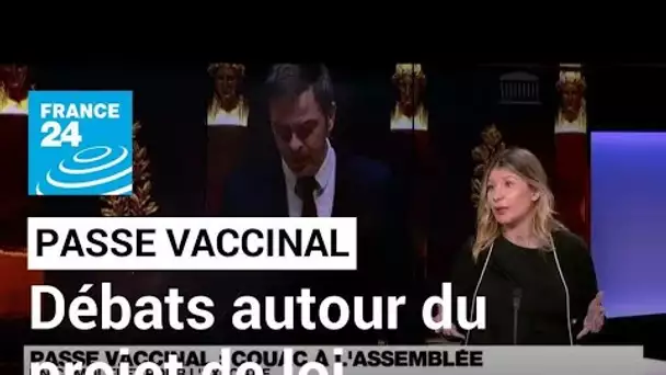 Passe vaccinal : les débats devant l'Assemblée reprendront mardi soir • FRANCE 24