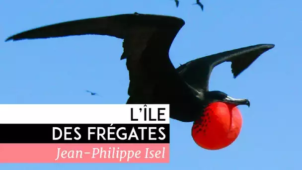 L&#039;île des frégates - Documentaire de Jean-Philippe Isel (2012)