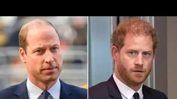 Le prince William "reconnaît que Harry a eu une éducation plus difficile" car il a passé moins de te