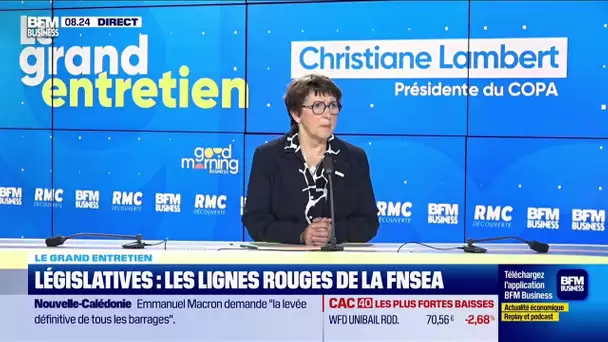 Christiane Lambert (COPA) : Législatives, les craintes des agriculteurs
