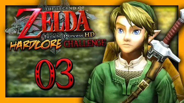 ZELDA TP HARDCORE : LINK, ÉLU DE LA LÉGENDE ! #03