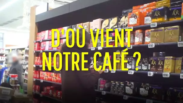 [EXTRAIT] D'où vient notre café ?