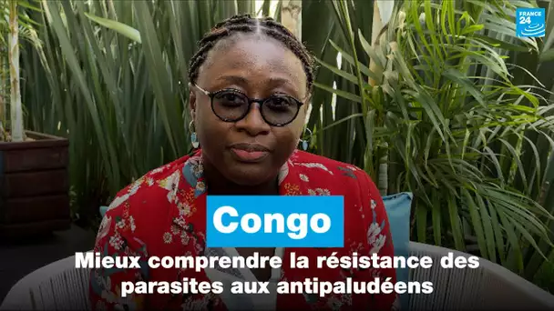 Congo : mieux comprendre la résistance des parasites aux antipaludéens • FRANCE 24