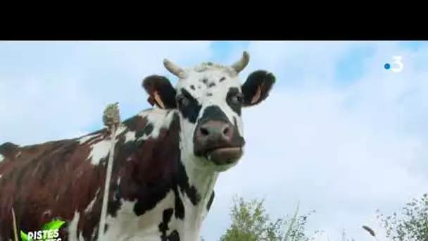 Pistes Vertes : la ferme bio du Perriers, à Saint-Lô dans la Manche