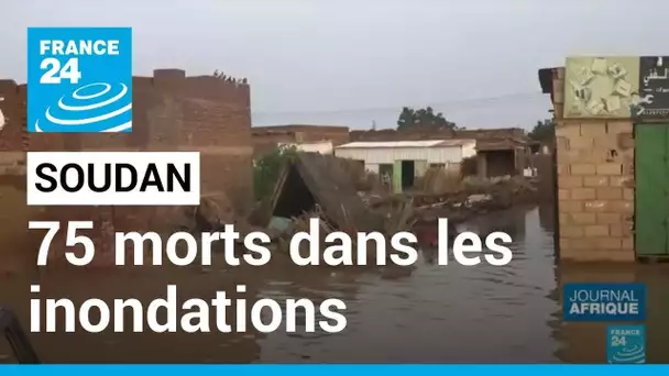 Inondations au Soudan : au moins 75 morts à travers le pays • FRANCE 24